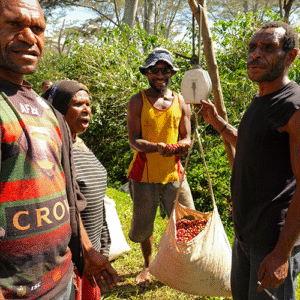 PAPUA-NOVA GUINÉ - KINDENG